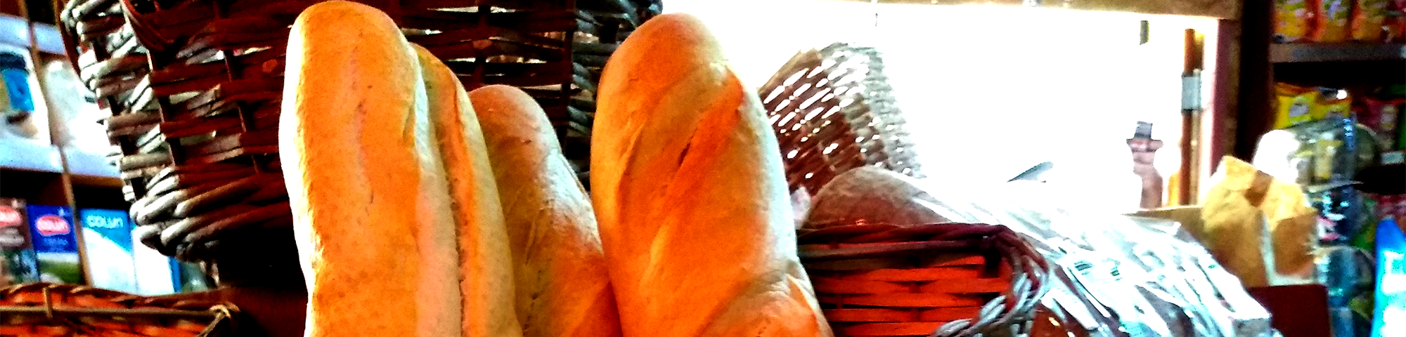 foto05